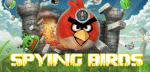 Ο επίσημος ιστότοπος του Angry bird παραβιάστηκε και παραβιάστηκε από χάκερ της Anti-NSA